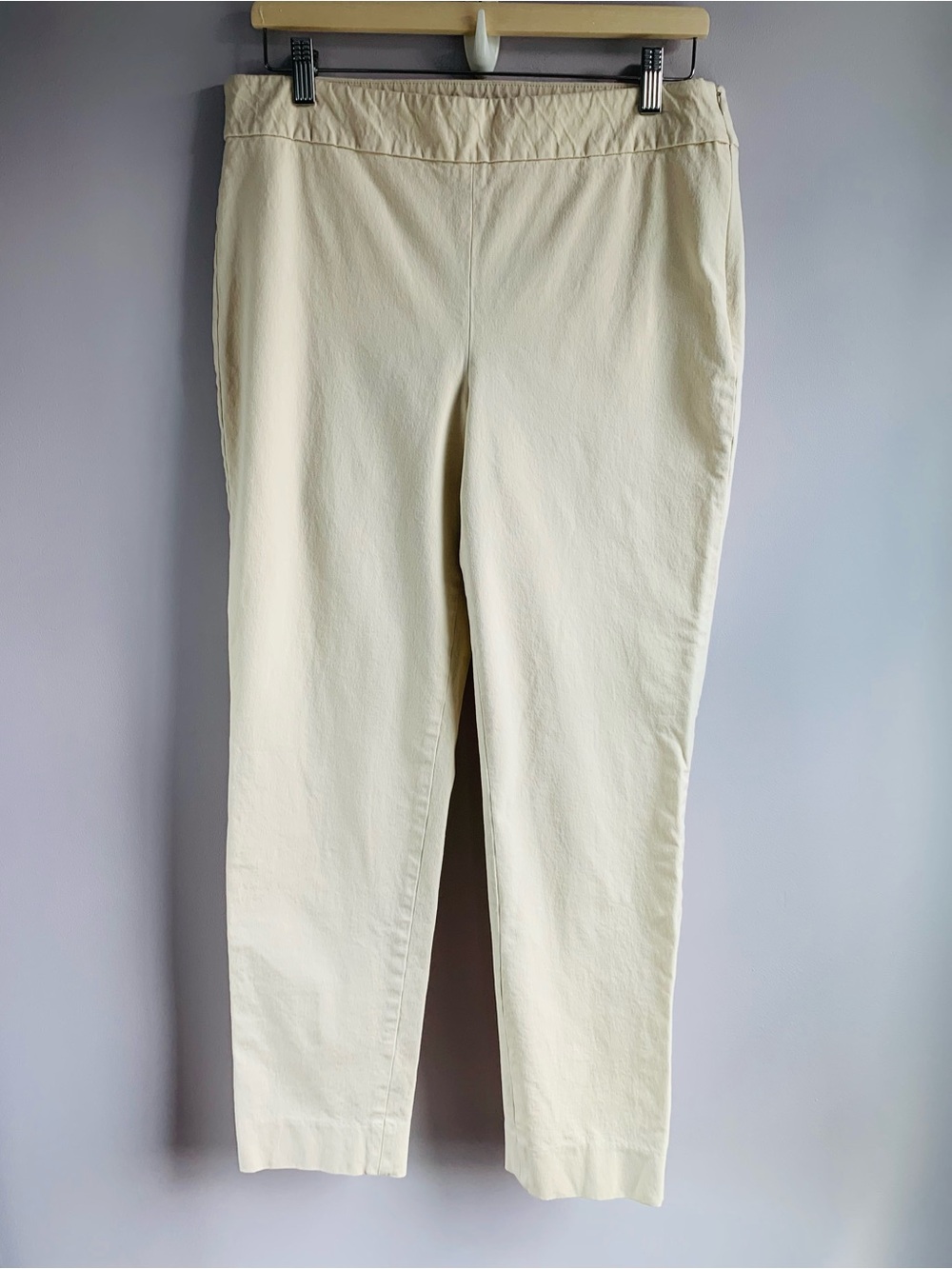 Talbots Chatham Ankle Pants Tan Neutral Flat Front Classic Capsule Office EUC 10